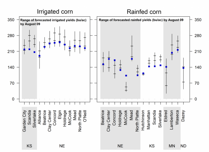 Graph showing range of forecasted yields for both irrigated and rainfed corn sites.