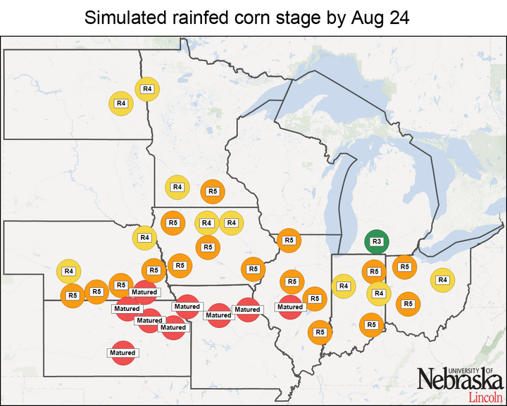 Simulated rainfed corn stage by Aug. 24