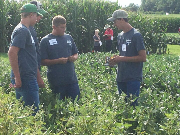 Colfax County 2016 Nebraska Crop Scout Competition Winners