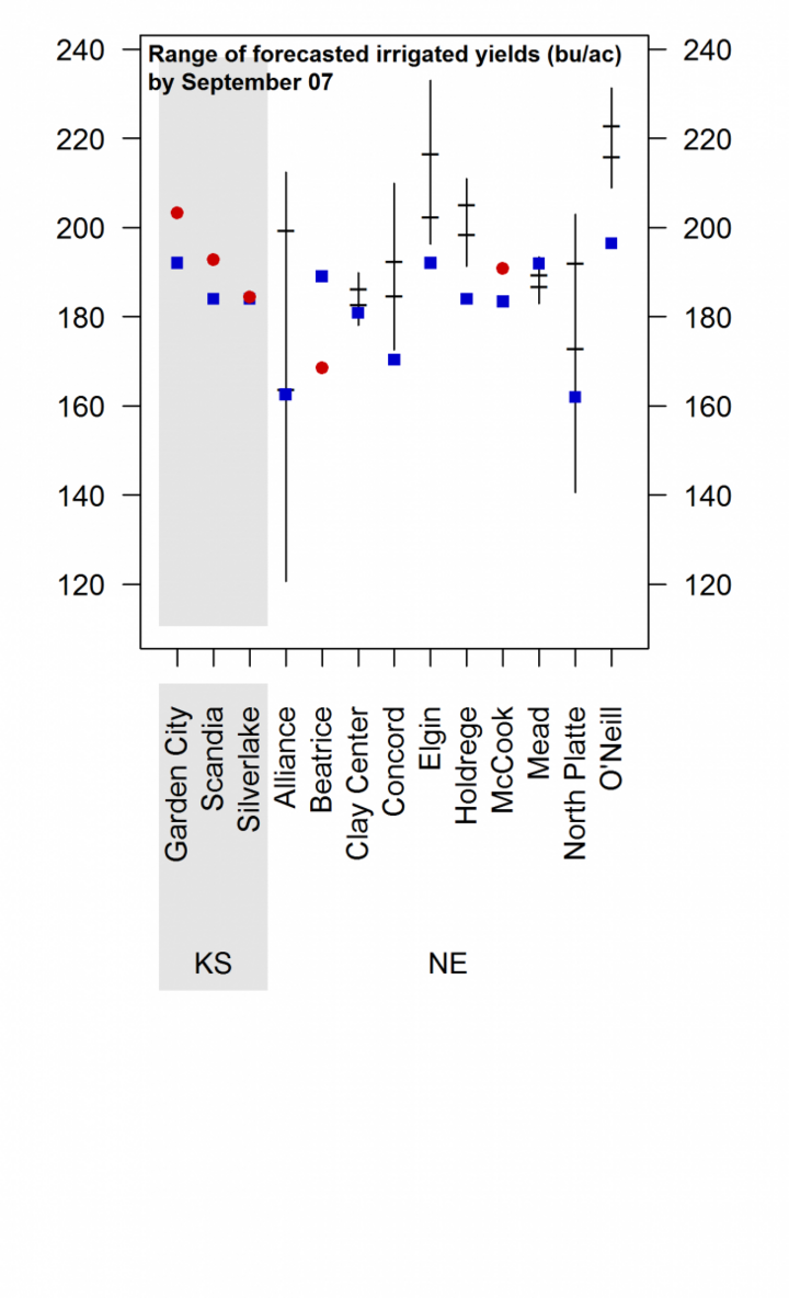 simulated irrigated corn yields