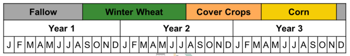 Wheat-corn-fallow system calendar