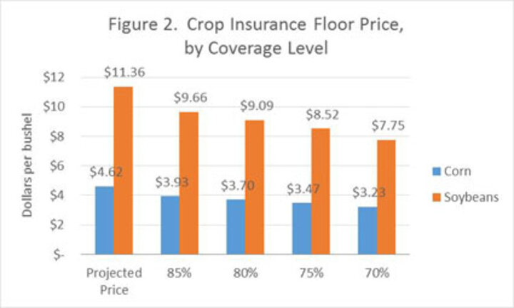 Graph of implied floor pricesfor corn and soybeans under various scenarios