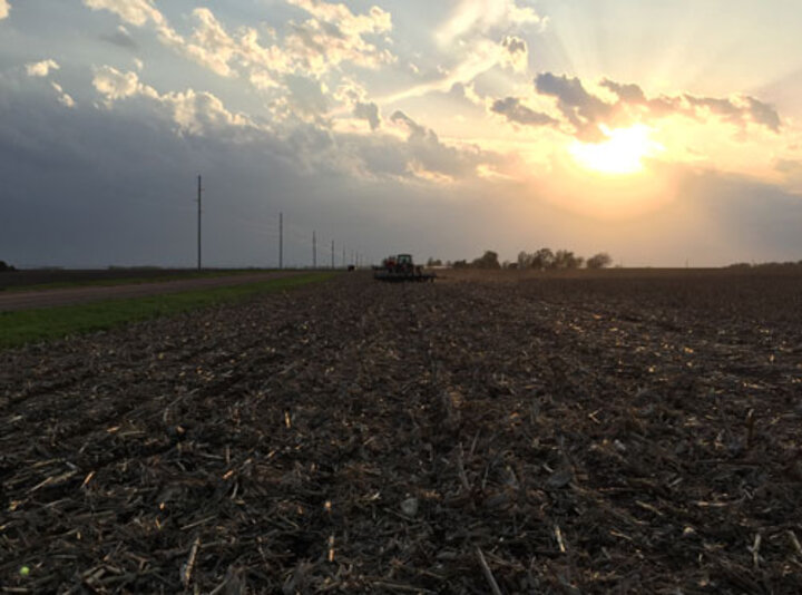 Dodge County sunset over a field post storm