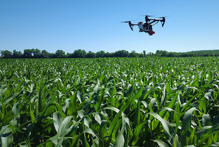 Drone equipped with infrared sensors flying over corn
