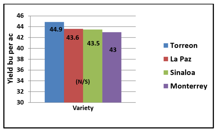 Chart showing yields of four directed harvested dry beans