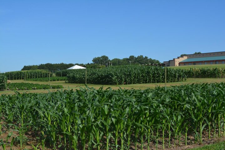 Demonstration plots at ENREC