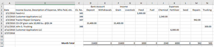 Standard ledger page