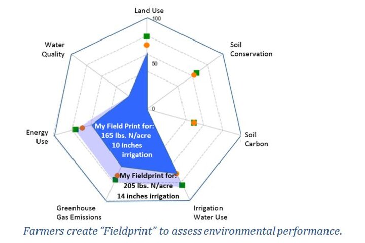 Fieldprint report