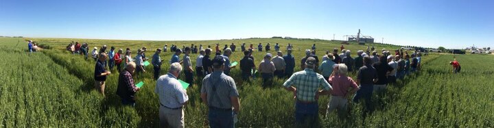 Crops featured at June field days