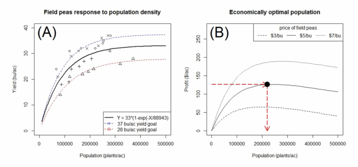 Graphcs showing field pea response to population density and field pea economically optimal population