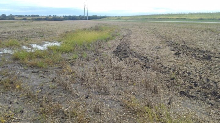 Equipment ruts from running on wet soils