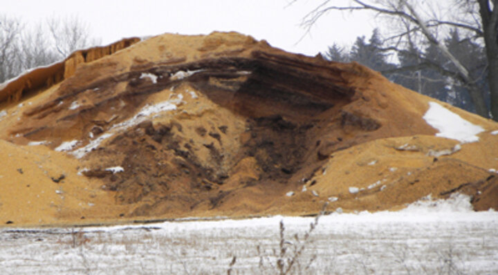 Large pile of discolored grain