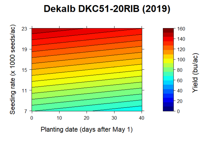 Dekalb DKC51-20RIB 2019