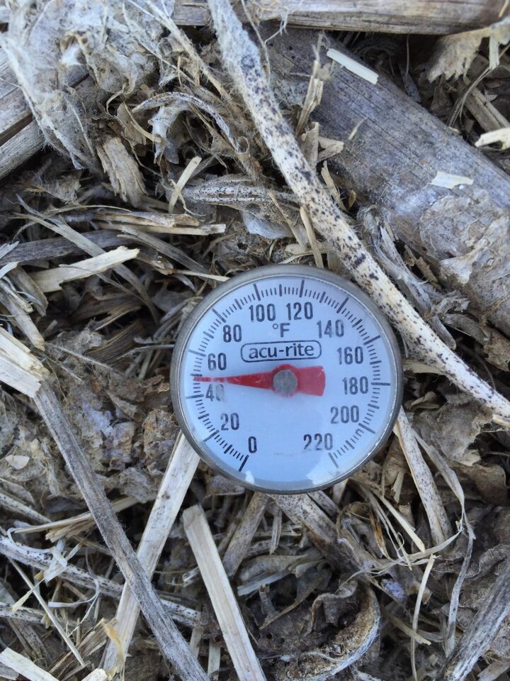 Meat thermometer measuring soil temperature