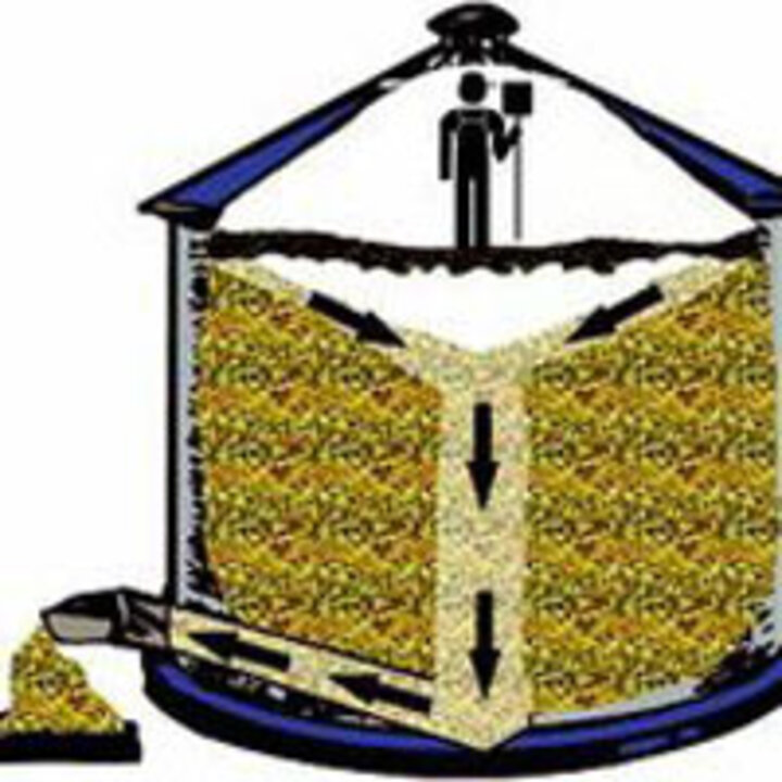 Illustration of a grain bridge in stored grain