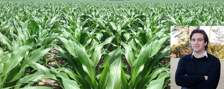 Photos of a corn field and Patricio Grassini 