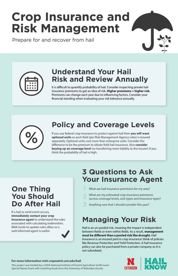 insurance infographic