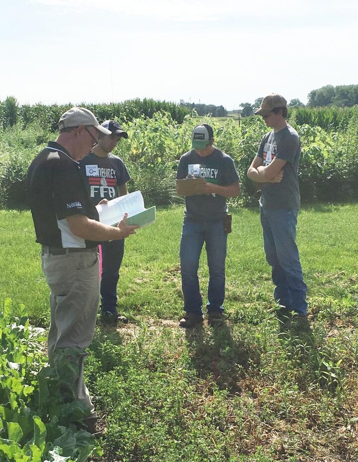 Youth examining an alfalfa field