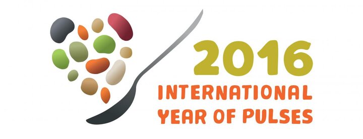 Year of the Pulses Logo
