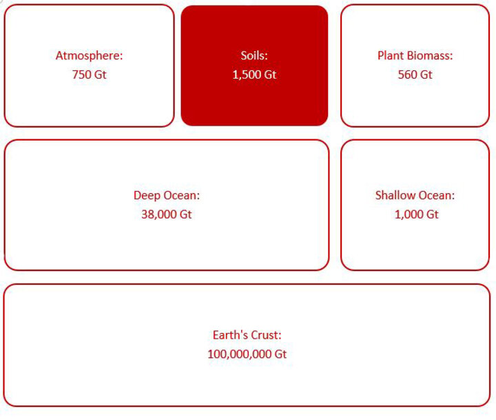 Graphic comparing gigatons of earth's carbon stored in various natural reservoirs.