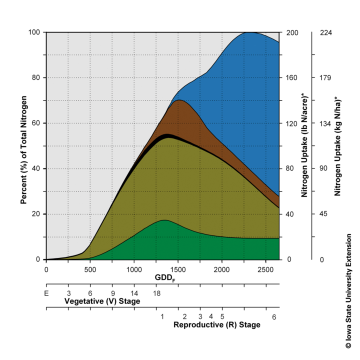 Chart showing corn nitrogen uptake levels at various points in the season 