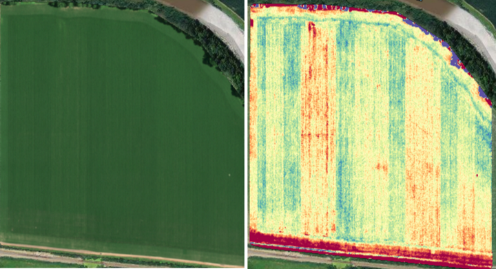 Infrared image field maps