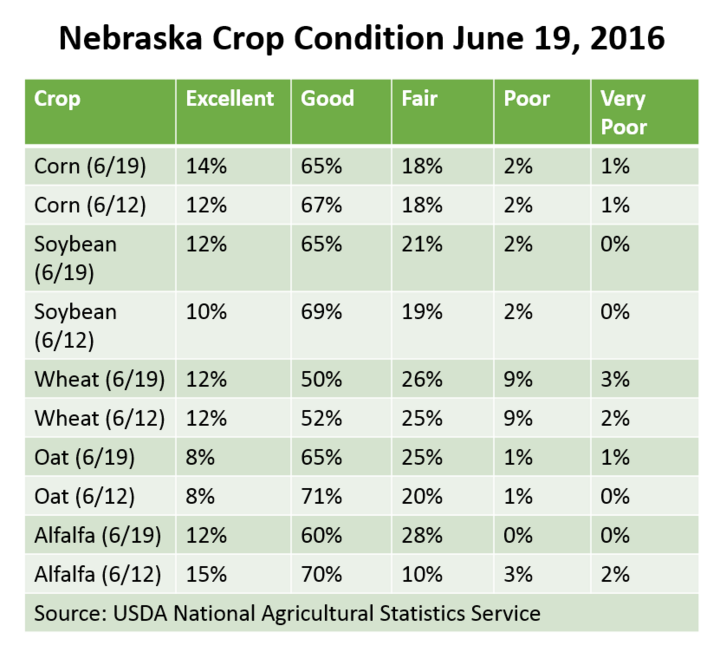 Crop condition report 6/19/16