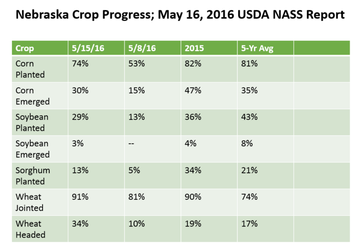 Planting-progress-5-15-16