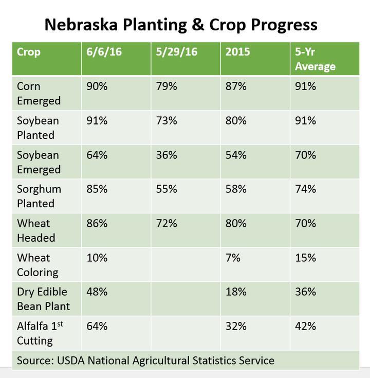 Crop progress report