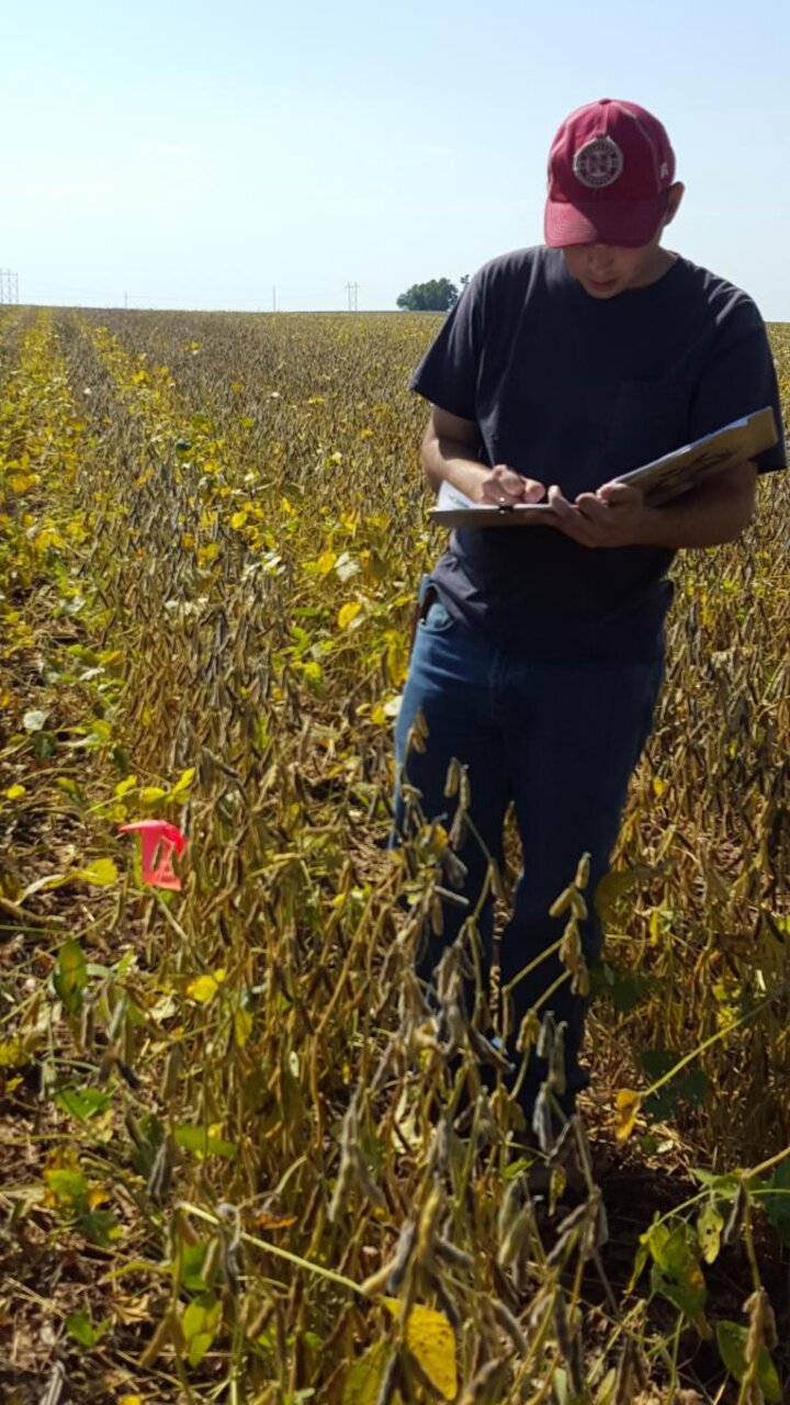 Intern collecting data in the field