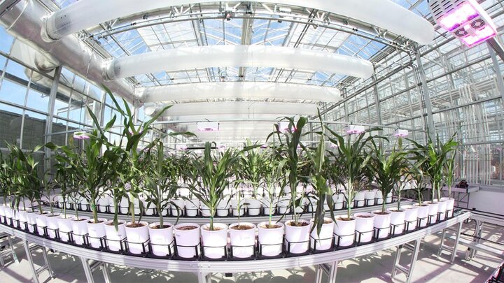 Nebraska Innovation Greenhouse