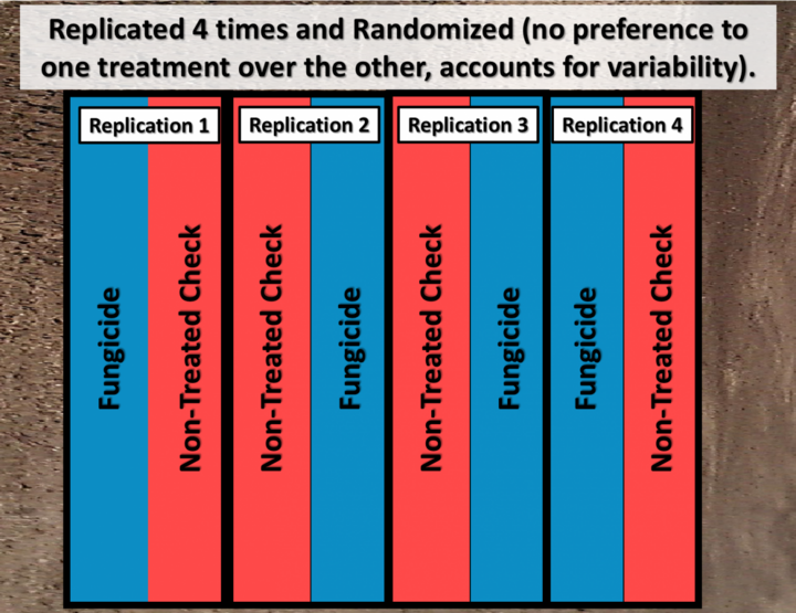 Plot design for randomized, replication field trial with 2 treatments