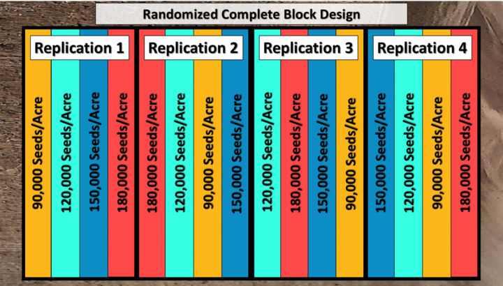 Randozimed, replicated design for 3-4 treatments