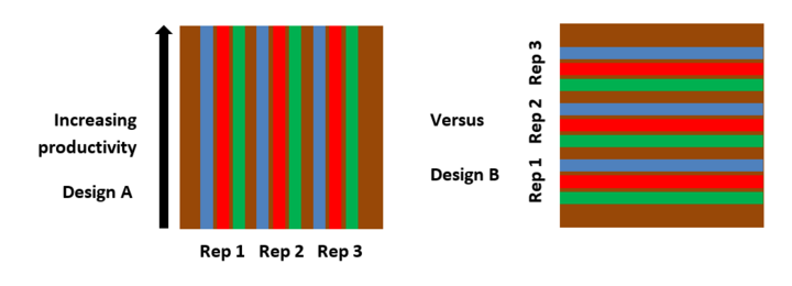 Field plan for on-farm research trial