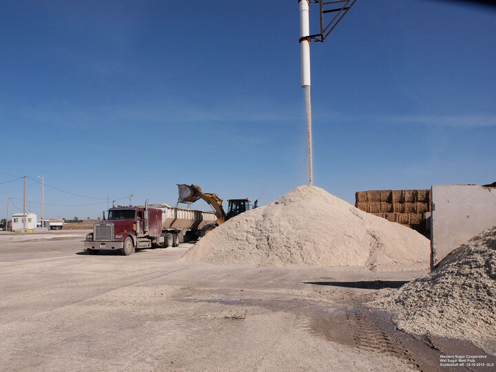 Figure 7. Sugar beet pulp for livestock feed