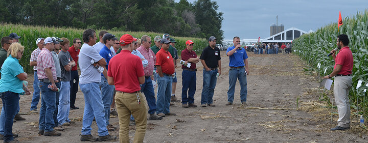 Palmer Amaranth field day