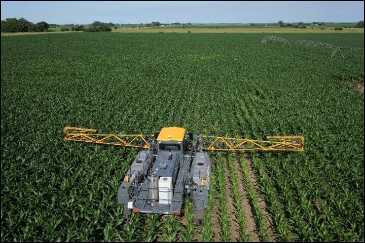 Project SENSE in corn