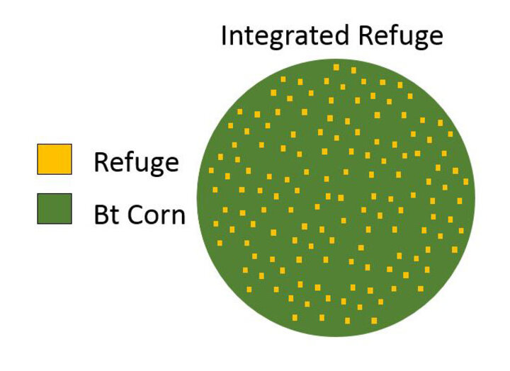 Integrated refuge