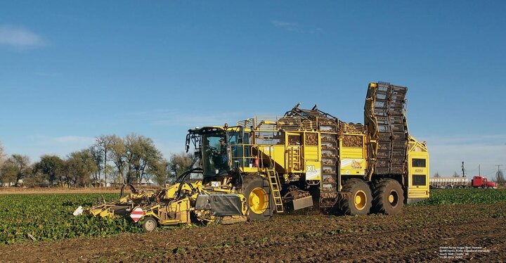 sugar beet harvester