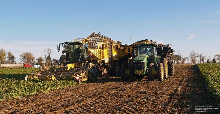 sugarbeet harvester with truck