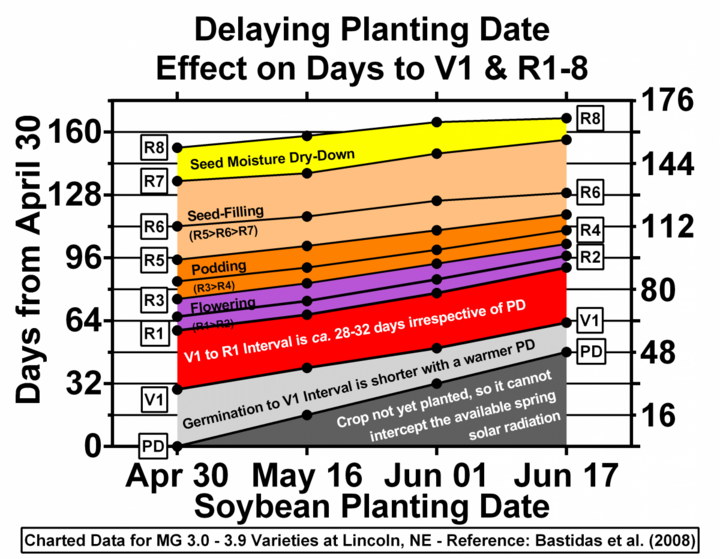 Delayed soybean planting date chart