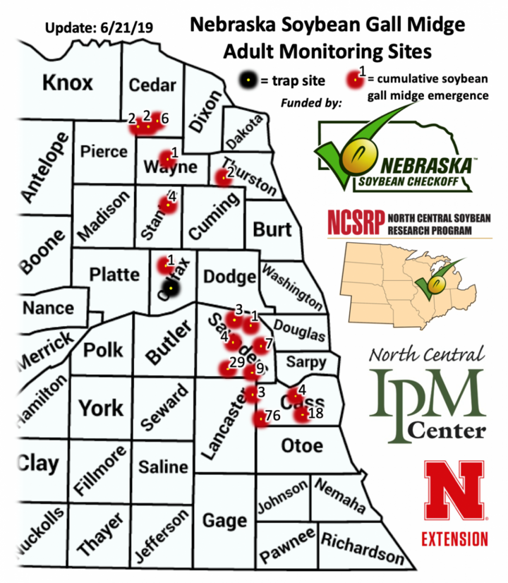 Map of soybean gall midge occurrence 6-21-19