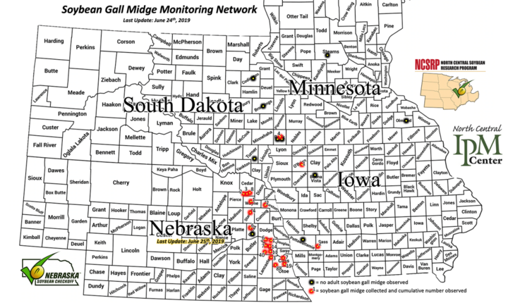 Map showing the cumulative number of soybean fall midge adults collected from emergence traps as of June 24 and 25.