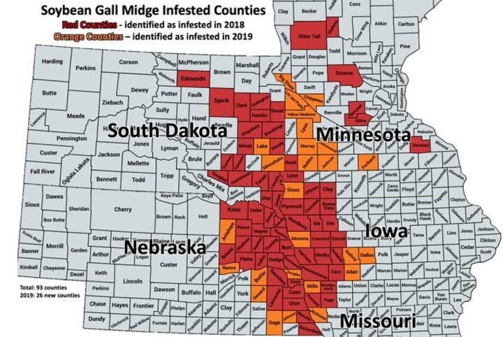 Five-state map of counties where soybean gall midge has been confirmed.