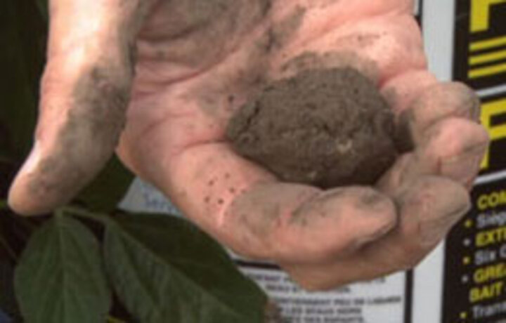 man holding soil