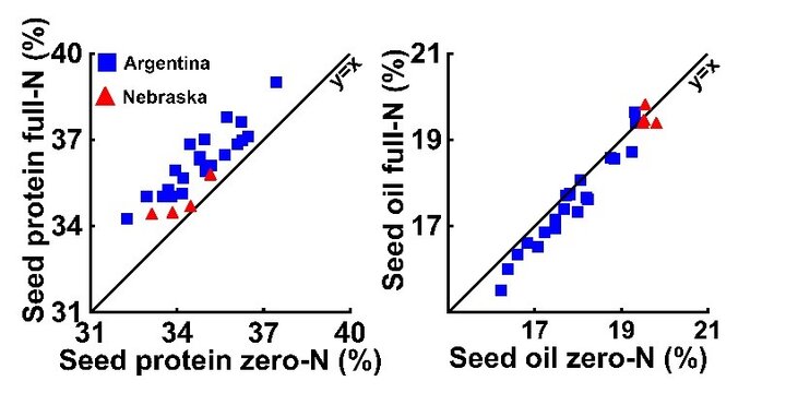 Graphs of comparing soybean protein and seed oil with full or zero N