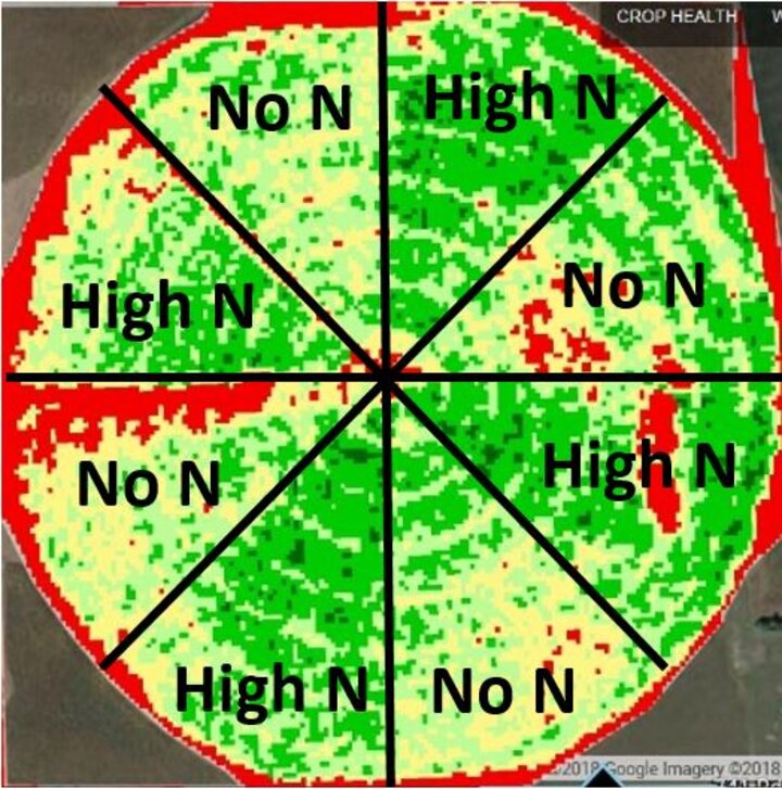 Layout for research plots on soybean late-season N application (R3)