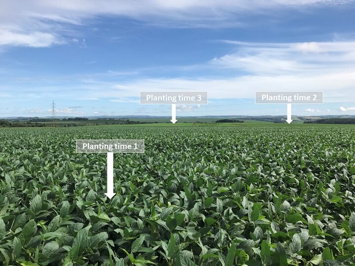 Soybean-planting-dates-Brazil