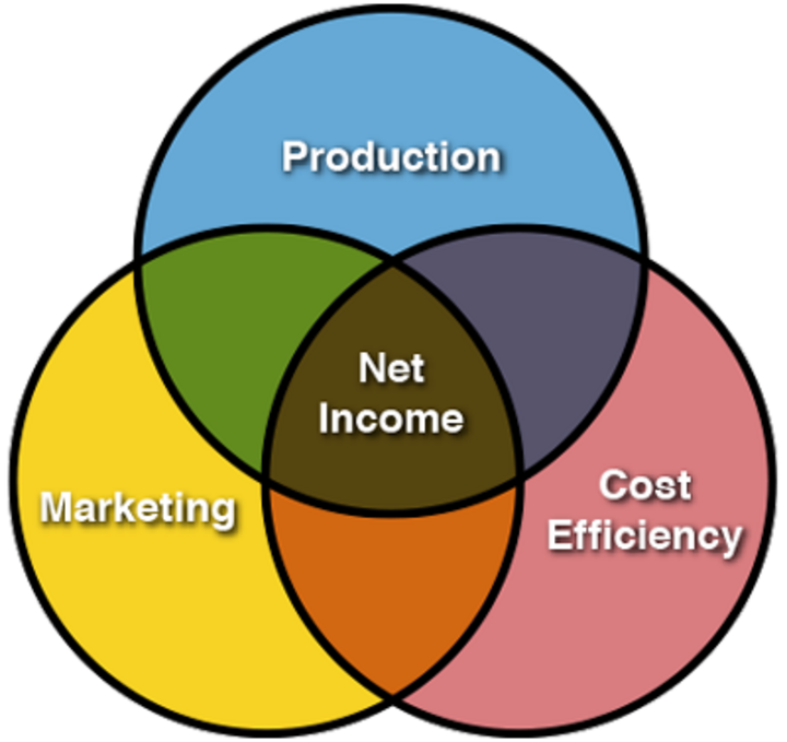 Graphic showing the 3 factors constituting net farm income: Production, marking and cost efficiency