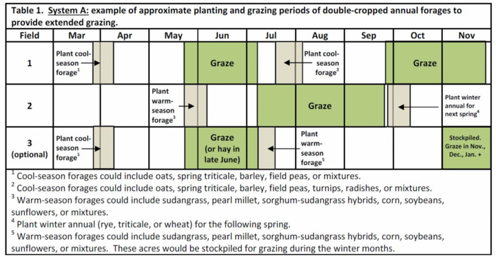 Forage System Plan A